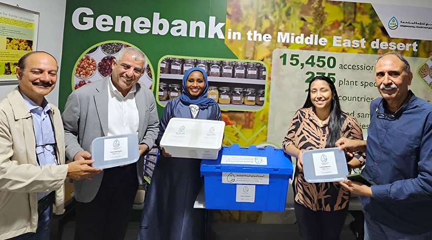  Seeds from the Heart of the UAE Reach the Arctic.. UAE-Based ICBA Becomes the First Research Center from the Arabian Peninsula to Deposit Seeds in the Svalbard Global Seed Vault